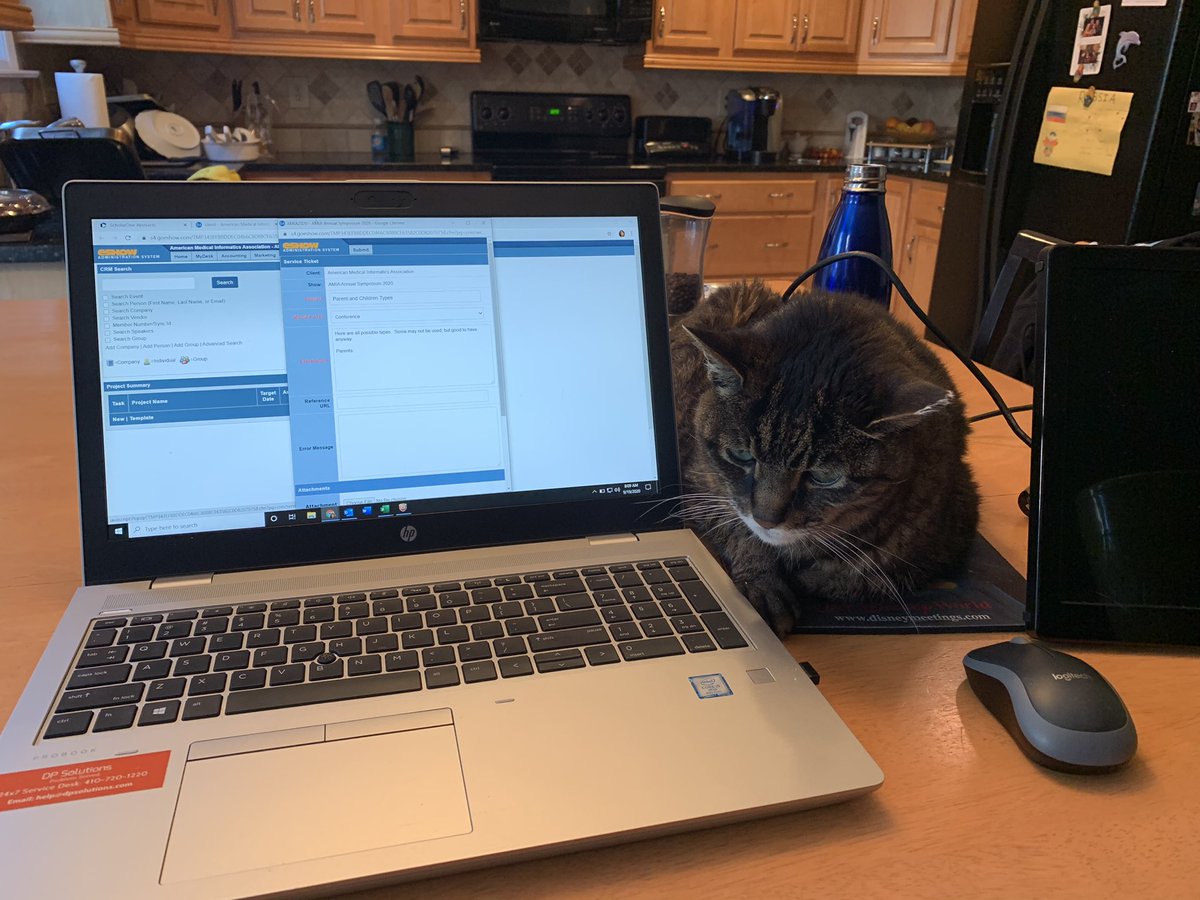 DashaCohen's tweet photo. My #AMIABuddy keeping me company https://t.co/rLCdg0y8LN