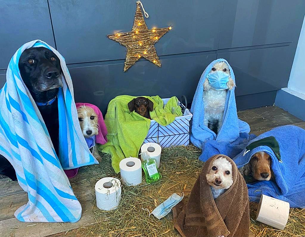 Nativity scene 2020... sorry had to be done 😂
