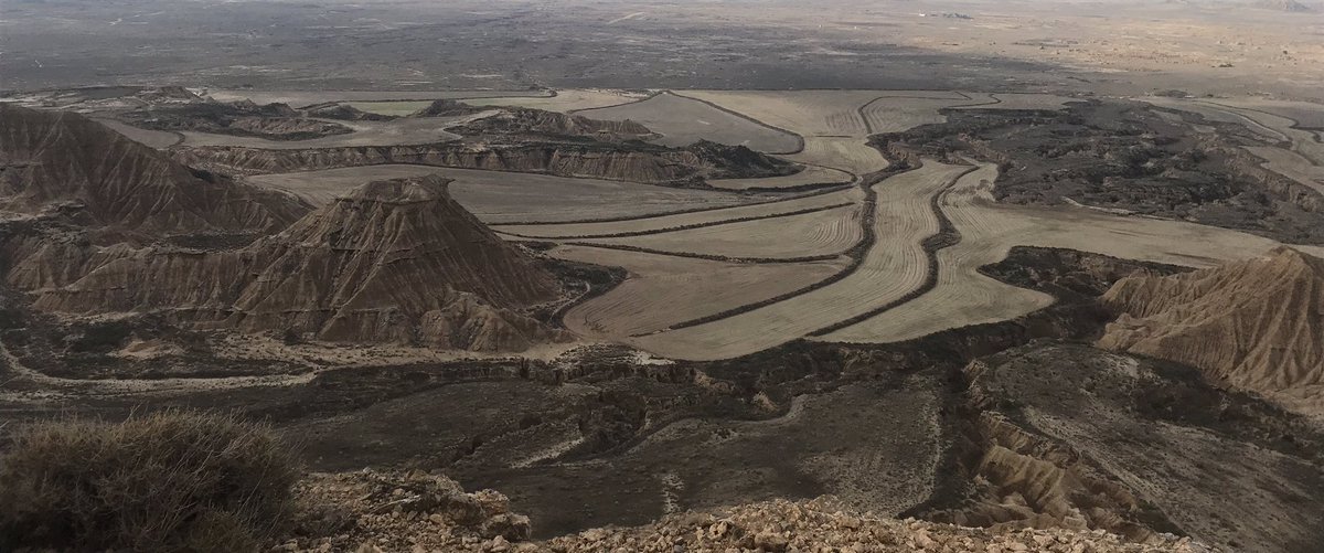 raquel (@raquelvaalti) on Twitter photo 