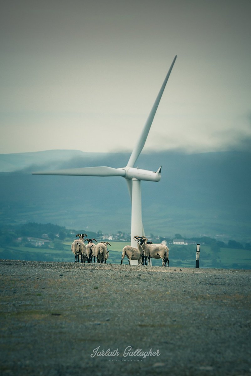 jarlathgallagh1's tweet photo. #StormHourThemes ~ @StormHourAdele @StormHourMark @ThePhotoHour

Wind Turbines &amp; Windmills 💨

#StormHour 
#ThePhotoHour https://t.co/3N1Yqyu0LI