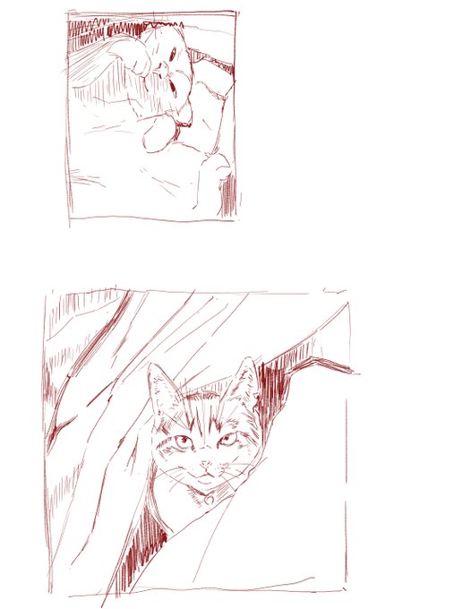 模写 