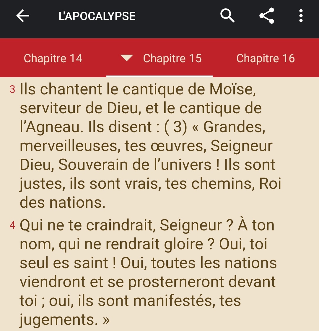 Le Gloria : #Gloria  #Gloire  #messe  #liturgie