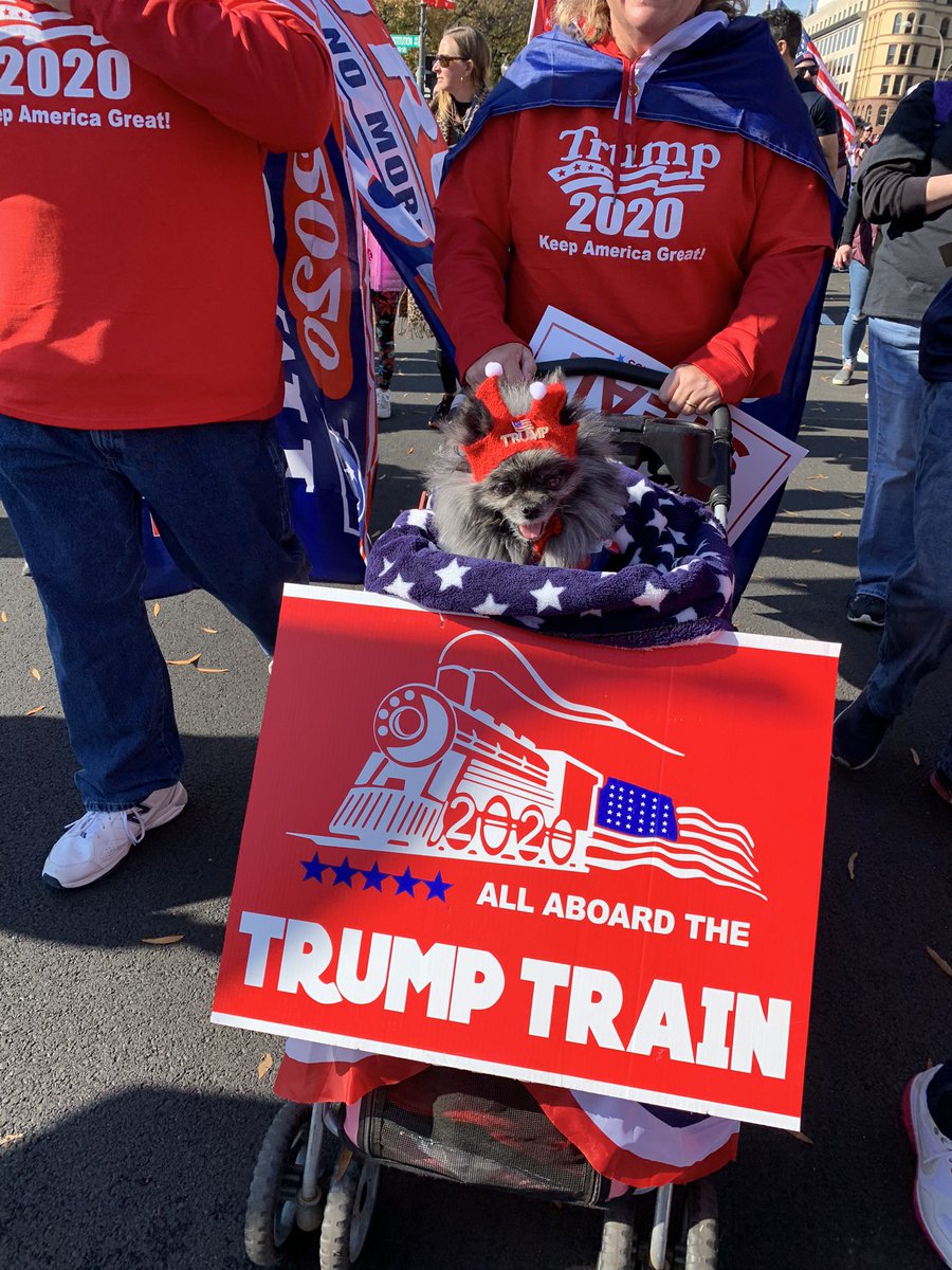 GasPassChic's tweet photo. LGBTQ, old Marine holding up Marine flag, dogs supporting an Audit of the Vote https://t.co/2qwh2IWJ83