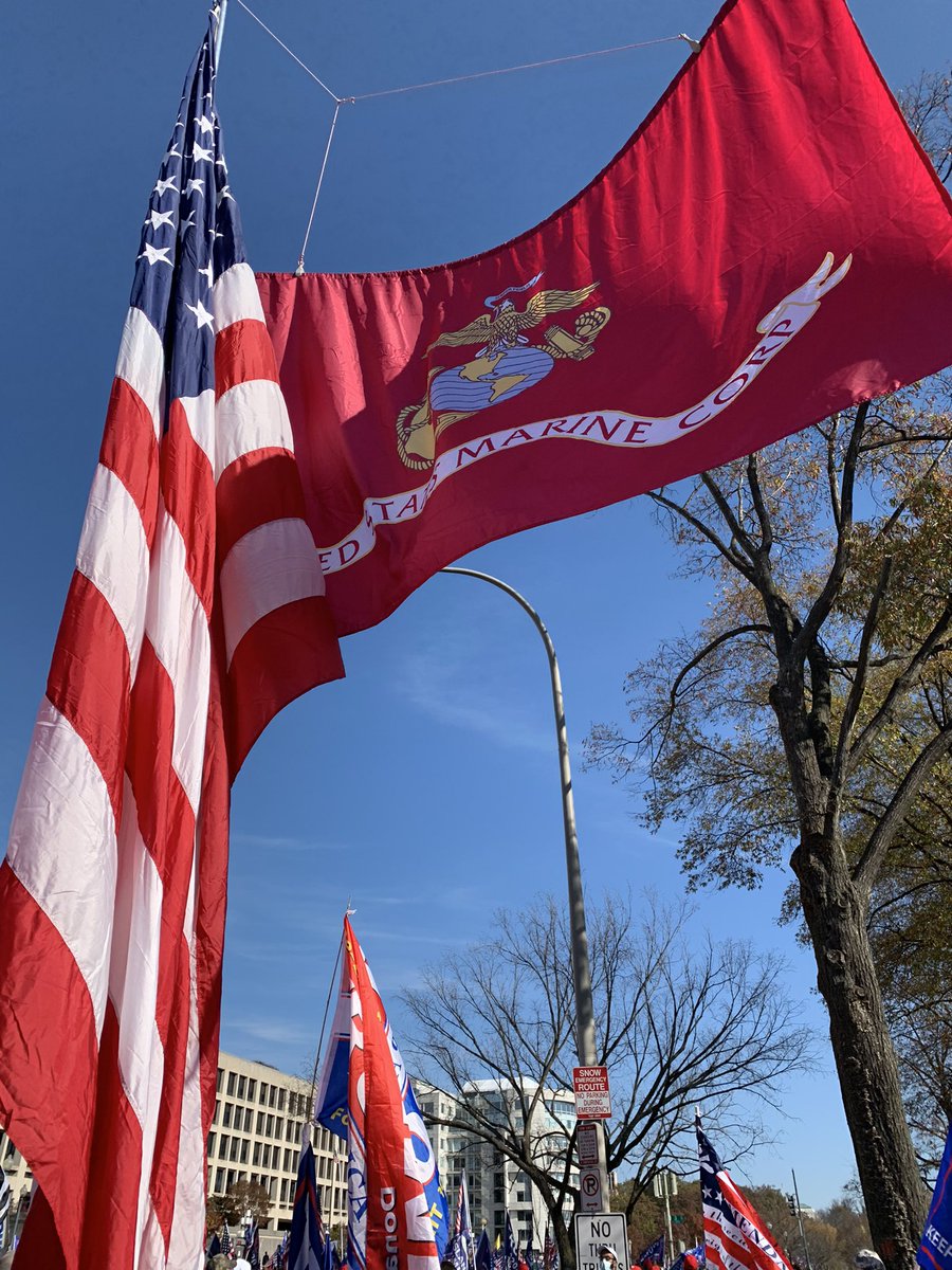 GasPassChic's tweet photo. LGBTQ, old Marine holding up Marine flag, dogs supporting an Audit of the Vote https://t.co/2qwh2IWJ83