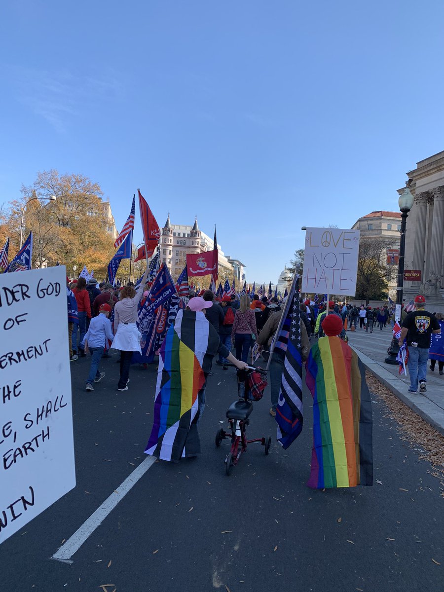 GasPassChic's tweet photo. LGBTQ, old Marine holding up Marine flag, dogs supporting an Audit of the Vote https://t.co/2qwh2IWJ83