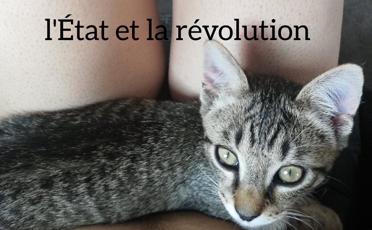 trotskynette's tweet photo. Première parution d'une sélection de textes de Ilitch Lénine aux éditions poils levés https://t.co/gvIJT7oUTy