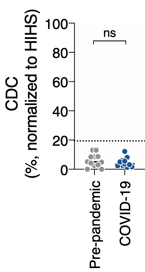 Despite this activation of the complement, we did not observed lysis of infected cells (using either A549-ACE2 or U2OS-ACE2 cells)4/13