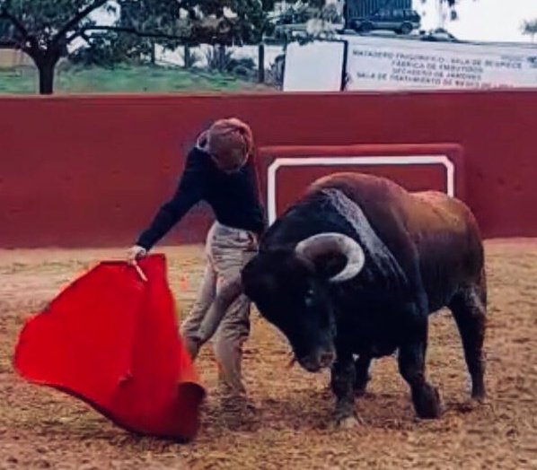 JavierJ67840778's tweet photo. "Que cuando llegue la suerte te coja trabajando". Bien pueden decirte @BorjaJimenez92 que es noviembre y aun no has levantado el pie del acelerador. https://t.co/KgIsQsWOGj