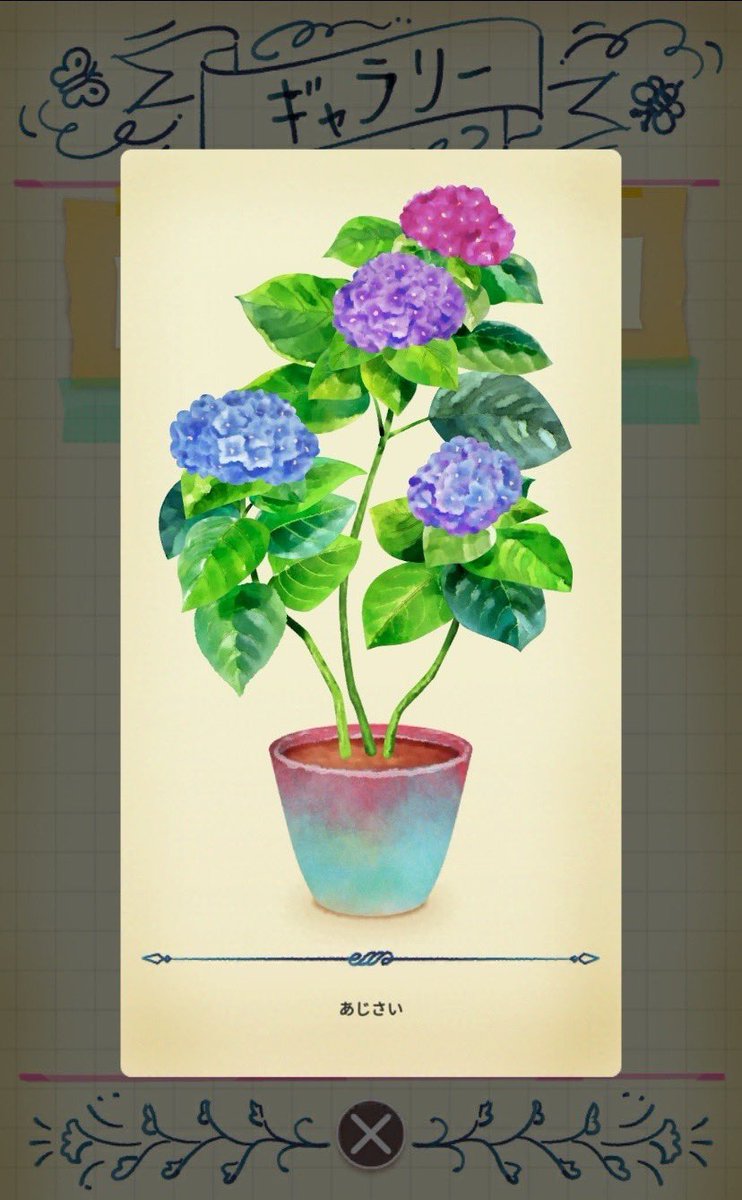 十子 この状態でshareできたらいいのに 鉢もかわいいんです ポケットプランツ T Co Nttuf6msln Twitter