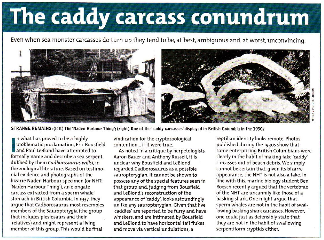 Anyway, I never published a paper dedicated to  #Cadborosaurus, but I did publish a take on events in my 2000 sea monster article in  @forteantimes...