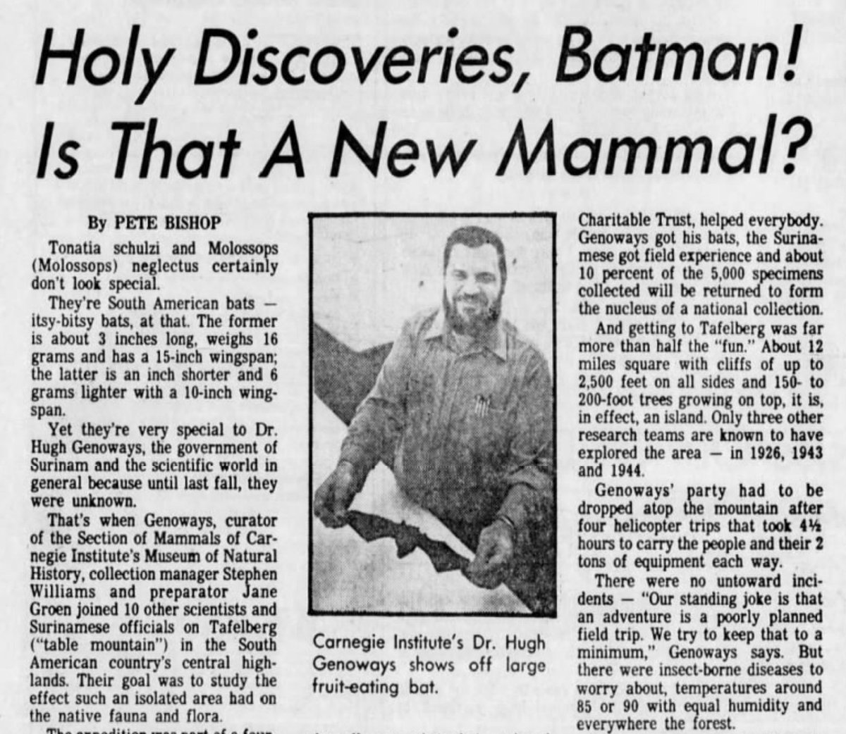 Years ago, I wrote: “He had been held at gunpoint in Mexico, housed his crew in a whorehouse in Jamaica, smuggled weapons into Guatemala. In Suriname, he surmounted a remote plateau, hacking through dark jungle, returning with unknown species. The newspapers called him Batman.”