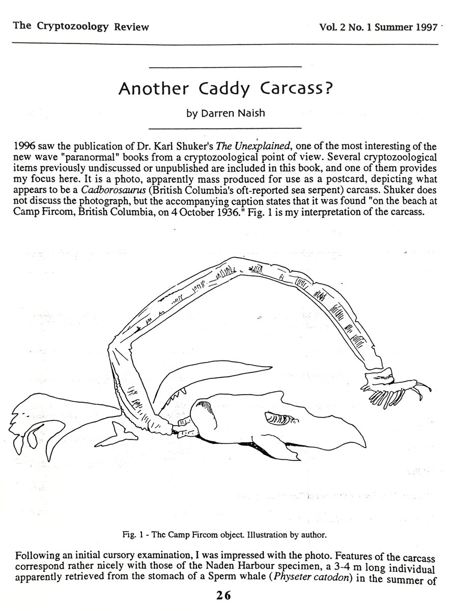 Karl had obtained postcards depicting the object, and I though these significant enough to write up in a short paper. You see, I don’t think the Camp Fircom carcass is a real carcass at all…  #Cadborosaurus  #cryptozoology