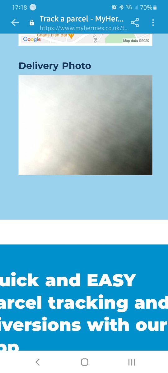 Below is the photo the @Hermesparcels delivery driver has sent, just spent 20 minutes trying to track it down. I understand they have a tight schedule but this is absolutely not acceptable!