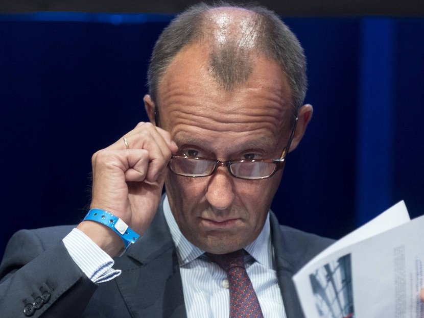 Friedrich Merz als Geier Ein Thread: