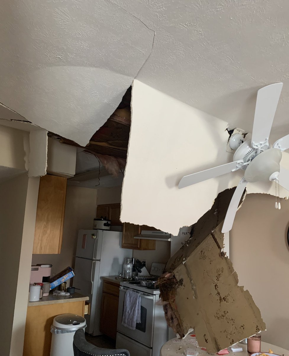 2020 really said how can we make this year a little worse for Anna and decided this was sufficient