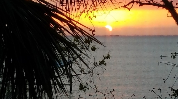 TennysonGuthrie's tweet photo. New artwork for sale! - "Anahuac Sunset" - https://t.co/OgHYgyyXXJ @fineartamerica https://t.co/7OYHKcNyfQ