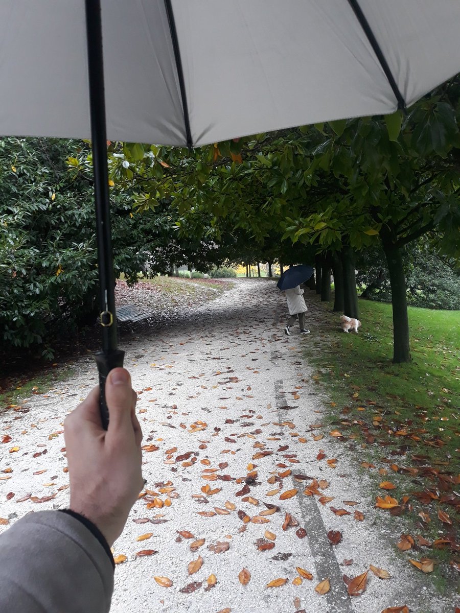 oscarsant1ago's tweet photo. 🎼🎵 Llueve y las aceras están mojadas
Todas las huellas están borradas
La lluvia guarda nuestro secreto.
La lluvia cae sobre los tejados
Donde fuimos más que amigos🎶🎶
#SeguimosNuestroViaje #EquipoDe3 #Leo🐾 #SeguimosConociendoMundo
Santiago de Compostela #GaliciaCalidade https://t.co/Drw9aksLfk