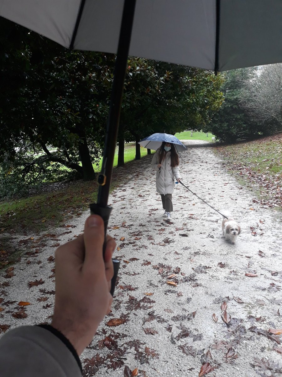 oscarsant1ago's tweet photo. 🎼🎵 Llueve y las aceras están mojadas
Todas las huellas están borradas
La lluvia guarda nuestro secreto.
La lluvia cae sobre los tejados
Donde fuimos más que amigos🎶🎶
#SeguimosNuestroViaje #EquipoDe3 #Leo🐾 #SeguimosConociendoMundo
Santiago de Compostela #GaliciaCalidade https://t.co/Drw9aksLfk