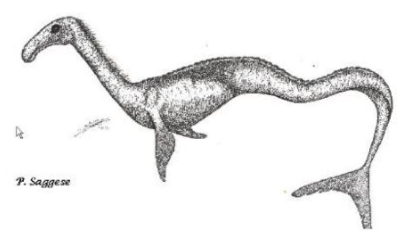 There’s also Pasquale Saggese’s 2005 proposal that Caddy might be a long-necked sirenian. I think this is a non-starter, but it’s a fun example of the SpecBio ‘creature building’ component so prevalent in  #cryptozoology…