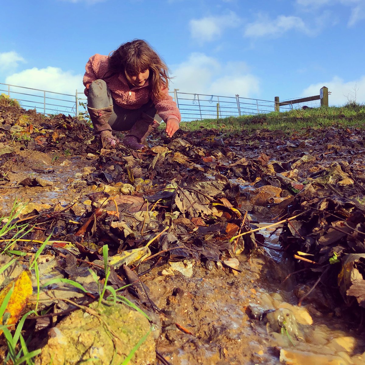 DonnaAshlee1's tweet photo. A break from sheep work so we built dams - not quite sure if the #farmersdaughter took in all the geographical explanations- I think she was far more interested in playing with mud, stones and water!
#geographyteachermum #dambuilding #outdoorplay #outdoorlearning https://t.co/JT7JmDUrmU