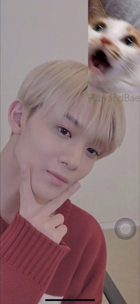 PitayandBae's tweet photo. 201115 영통
#CIX #FIX #팬바라기 #배진영 #JINYOUNG #BAEJINYOUNG https://t.co/Z16RZ9Mvnx