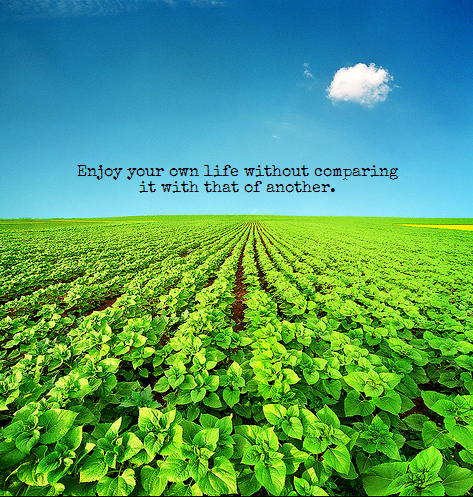 Build_Success_'s tweet photo. https://t.co/8cCERKGDpc
