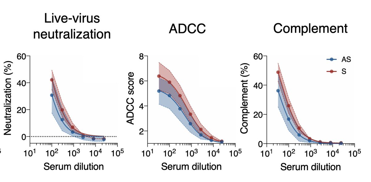 As expected, asymptomatic individuals display reduced antibody response, but most of them neutralise and activated ADCC or CDC.Red: symptomatic (n=76)Blue: asymptomatic (n=19)8/13
