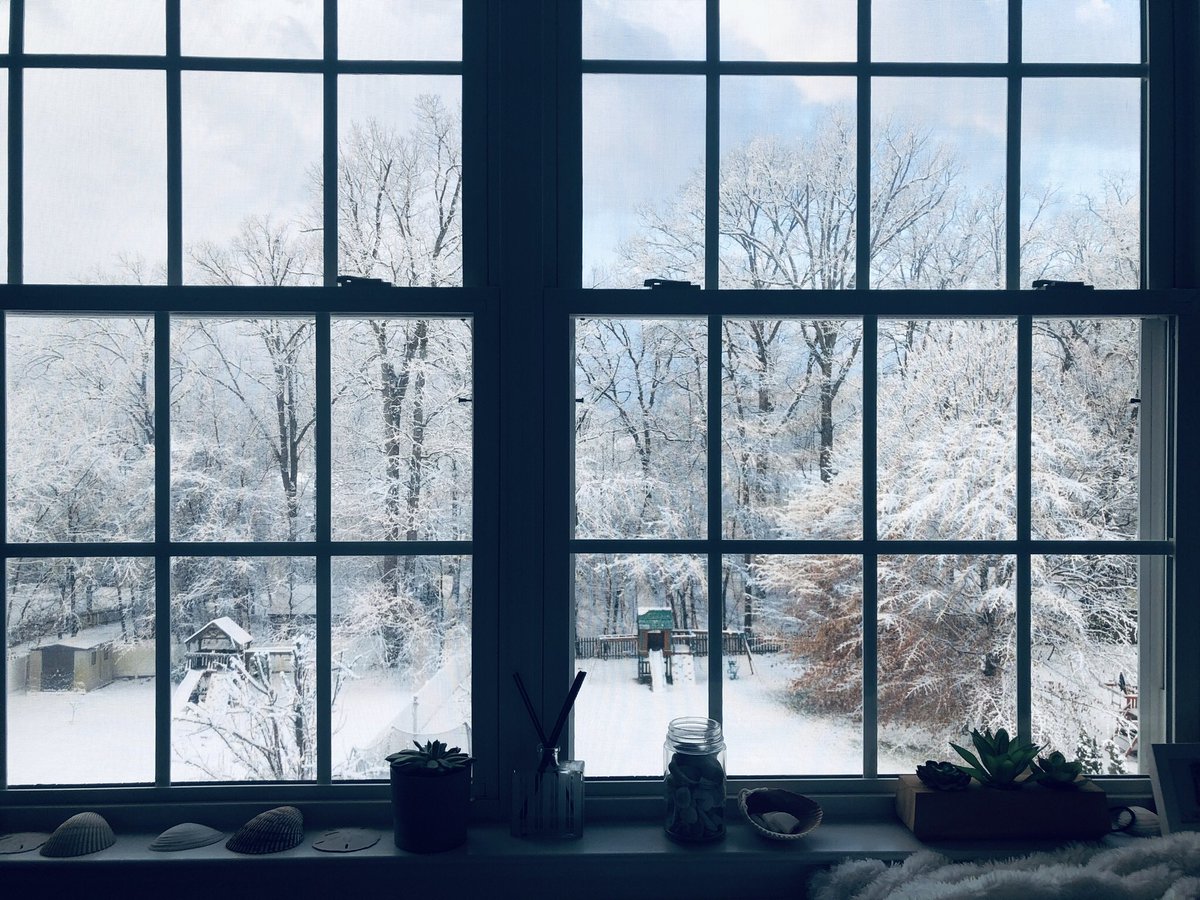 tmprowell's tweet photo. Inspired by @pedsmd2b’s “timeline cleanse” tweets, inviting you to share a beautiful view you’ve seen from any window, past or present. Here’s one of our backyard last winter. Reply with your #WindowsForJoy.
#MedTwitter https://t.co/CtHkvG691O