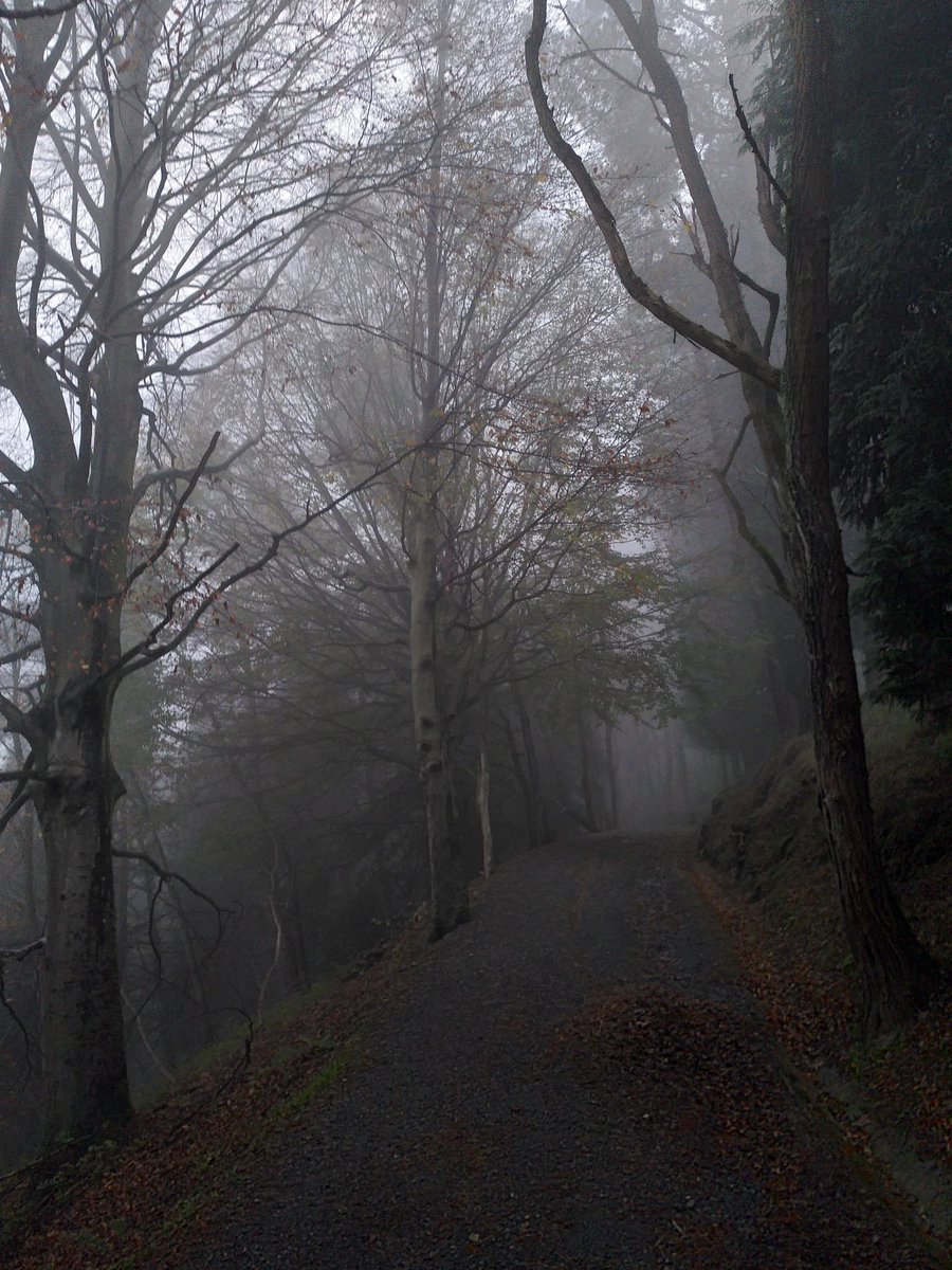 AsierGOlivencia's tweet photo. Sleepy Hollow?? Ez, #Arnotegi. https://t.co/aFcpVadrq2