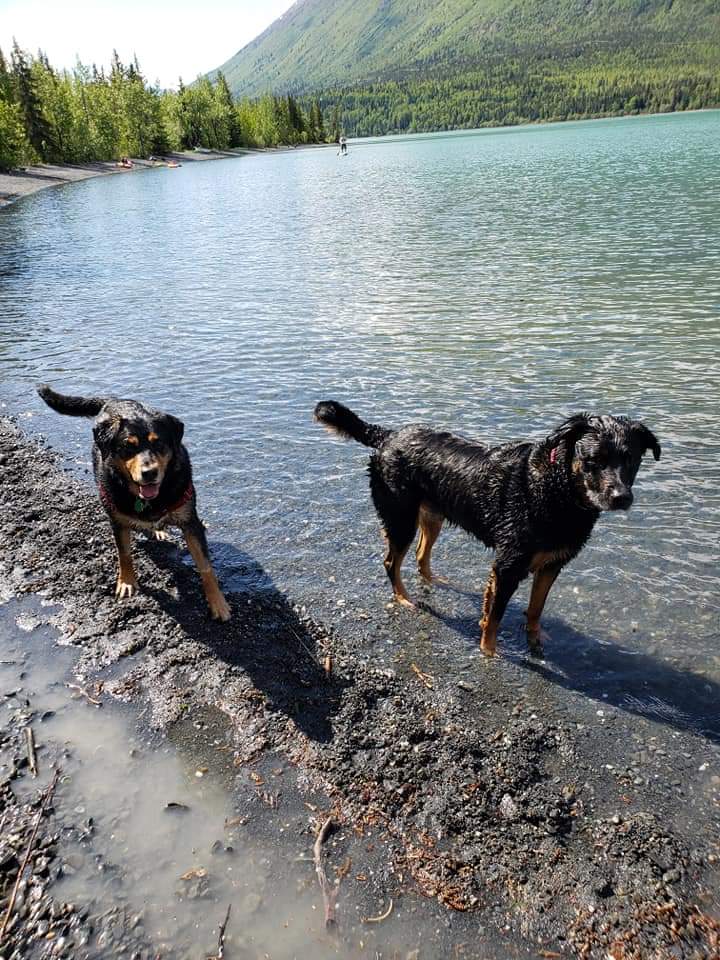 Remz Ink tweet media