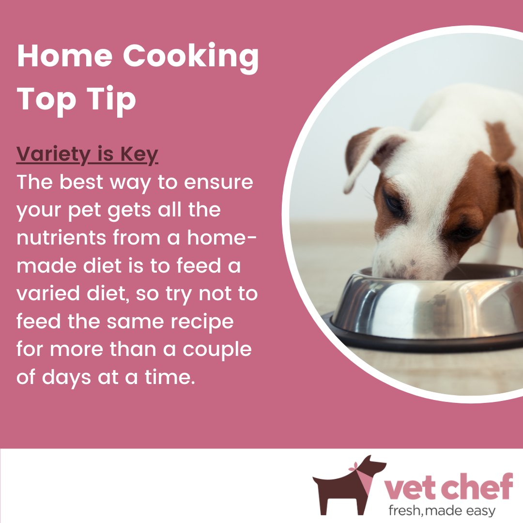 VetChef's tweet photo. Here's a top tip for when you're making fresh food for your companion.
.
.
.
#vetchef #freshfeddogs #freshdogfood #homecookingfordogs #homemadedogfood #dogfoodrecipe #dognutrition #animalnutrition #dogfood #petfood #petnutrition #nutritionforpets #toptip https://t.co/HiE55V8IHw