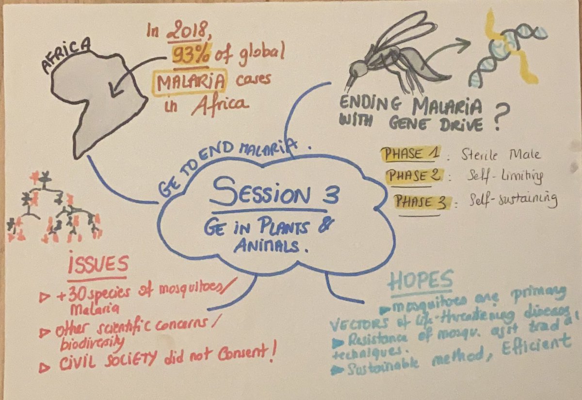 MarionAbecassis's tweet photo. #ARRIGE2020 - Notes on @elenagomezdiaz’ presentation yesterday on the use of #genomeediting to end Malaria in Africa during @ArrigeOrg Meeting https://t.co/spbIKWNIIR