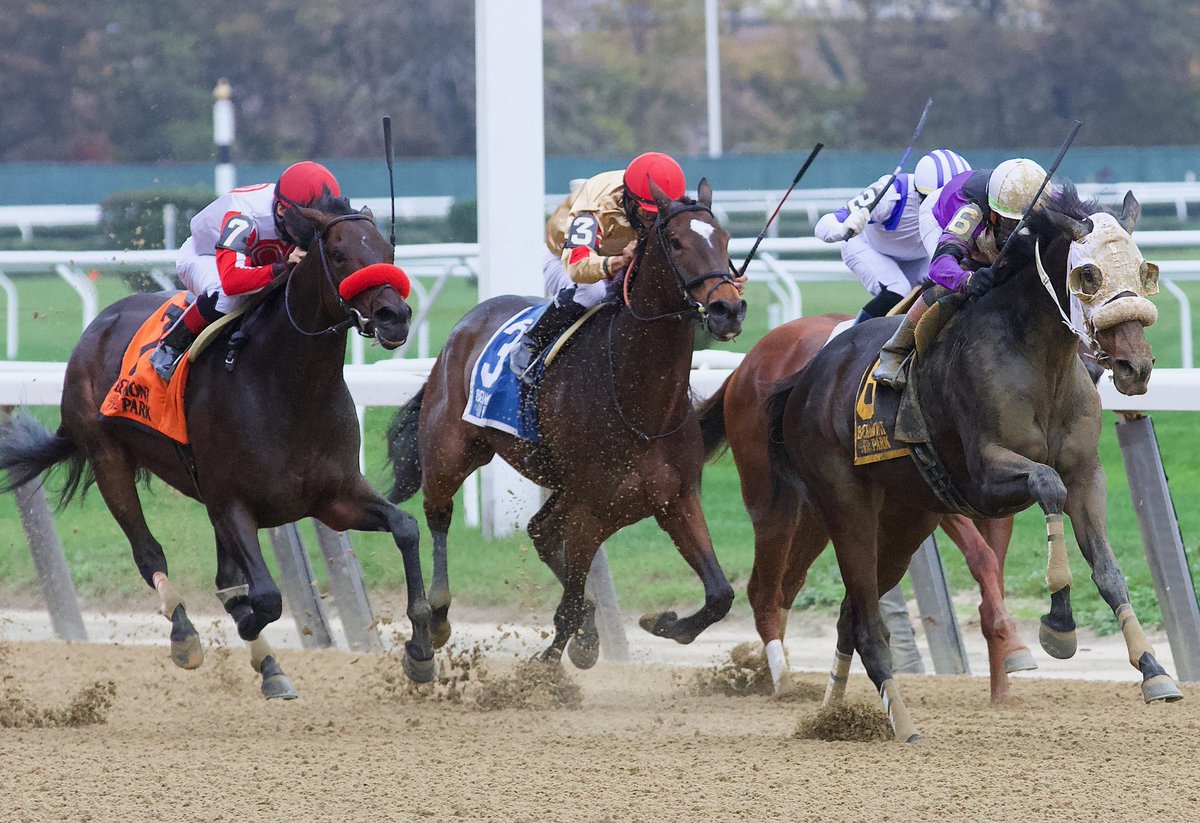 Fleetphoto's tweet photo. Lucky Move with Irad Ortiz Distaff Empire Stakes Showcase Day at historic Belmont Park.
@thenyra
@newyorktha
#BelmontPark
#LuckyMove
#iradOrtiz
#EmpireStakes
#EmpireDistaff
#Horseracing
#ThoroughbredRacing
#Nyra
#newyorkbreds
#TenStrikeRacing
#Fleetphoto.net https://t.co/R4tRncDSXL