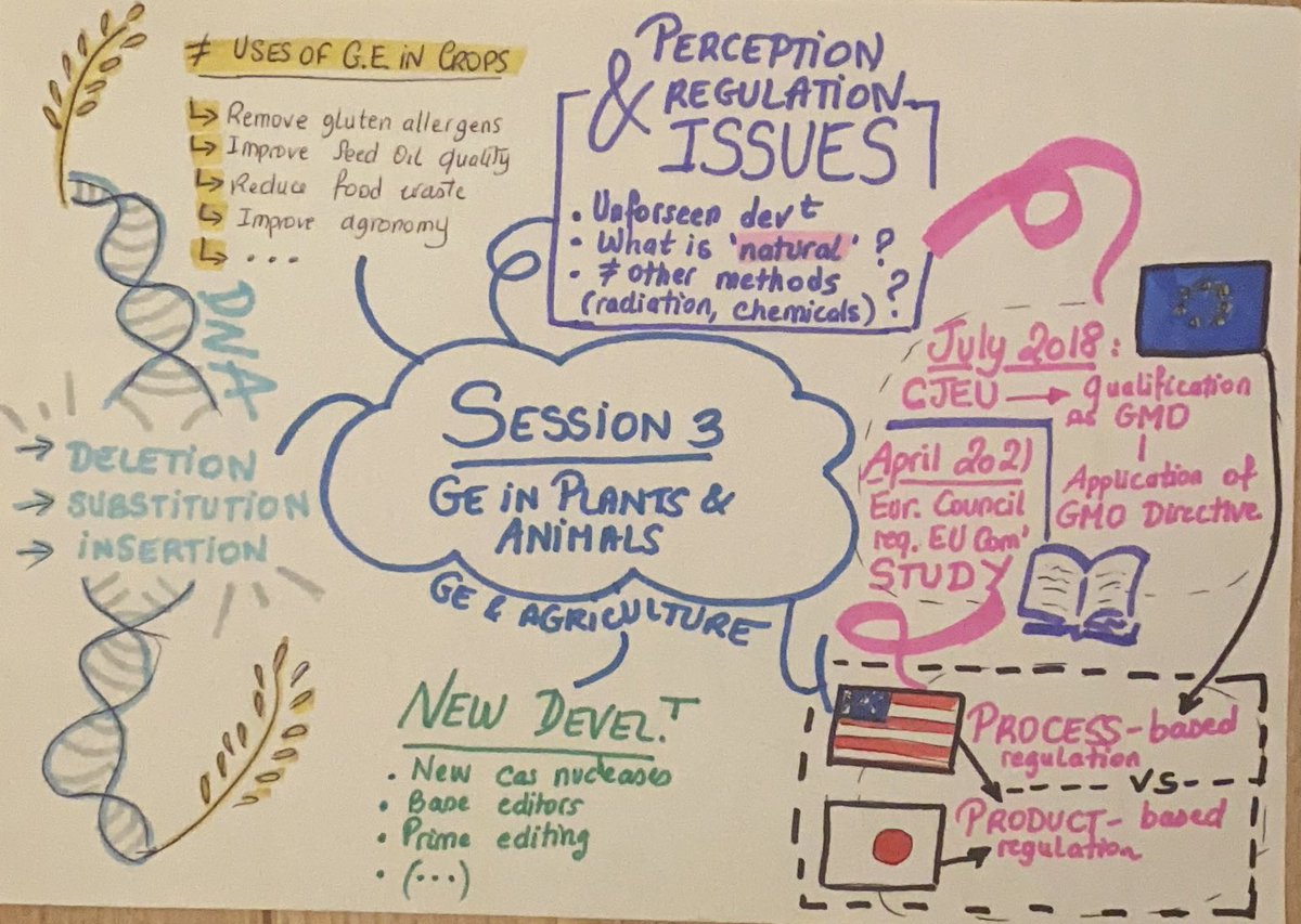 MarionAbecassis's tweet photo. #ARRIGE2020 - Notes on Ruud de Maagd’s presentation on the use of #genomeediting in agriculture and EU-COST Action PlantEd 🌱 at @ArrigeOrg Meeting https://t.co/aQaZksiq82