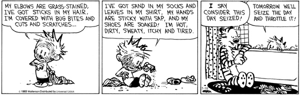 Anyone remember the Sunday Funny Papers? As a mom of two boys, I relate to this very much! Haha! Hope everyone is having a good weekend and is gearing up to “ Seize the Day” tomorrow! #seeyouinthefunnypapers #sundayfunnies #consumerrealestate