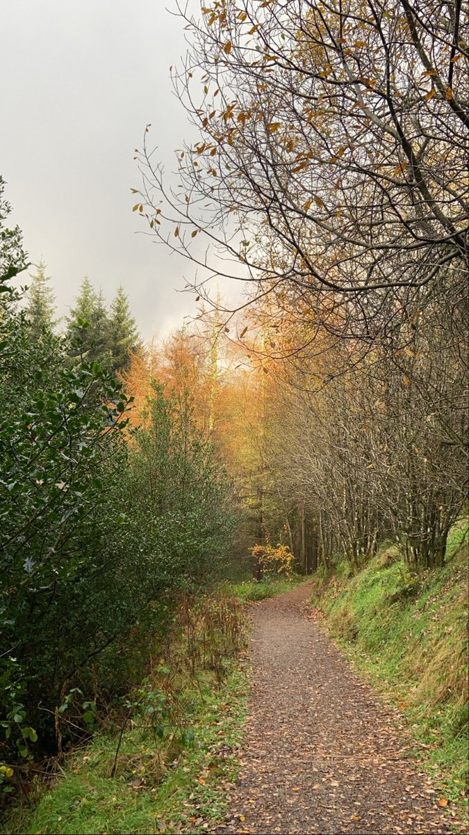 lindseycarson95's tweet photo. Coming around the corner to this view, after walking through the forest in the pouring rain for an hour, makes it all worth it...I think! #SundayStrolls #Nature #Tyrone https://t.co/NyPQspuqfR