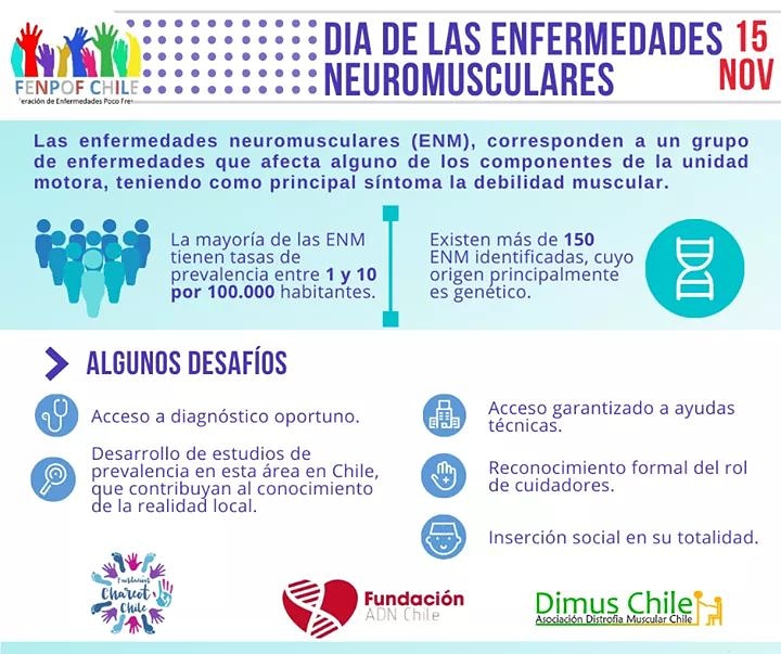 CharcotChile's tweet photo. Hoy 15 de noviembre se conmemora a nivel mundial el ¡Día de las Enfermedades Neuromusculares! Junto a las distintas organizaciones que conforman Fenpof esperamos que se concientice a la población en general además de la comunidad científica para lograr avances en esta materia. https://t.co/rmMrp9sjLw