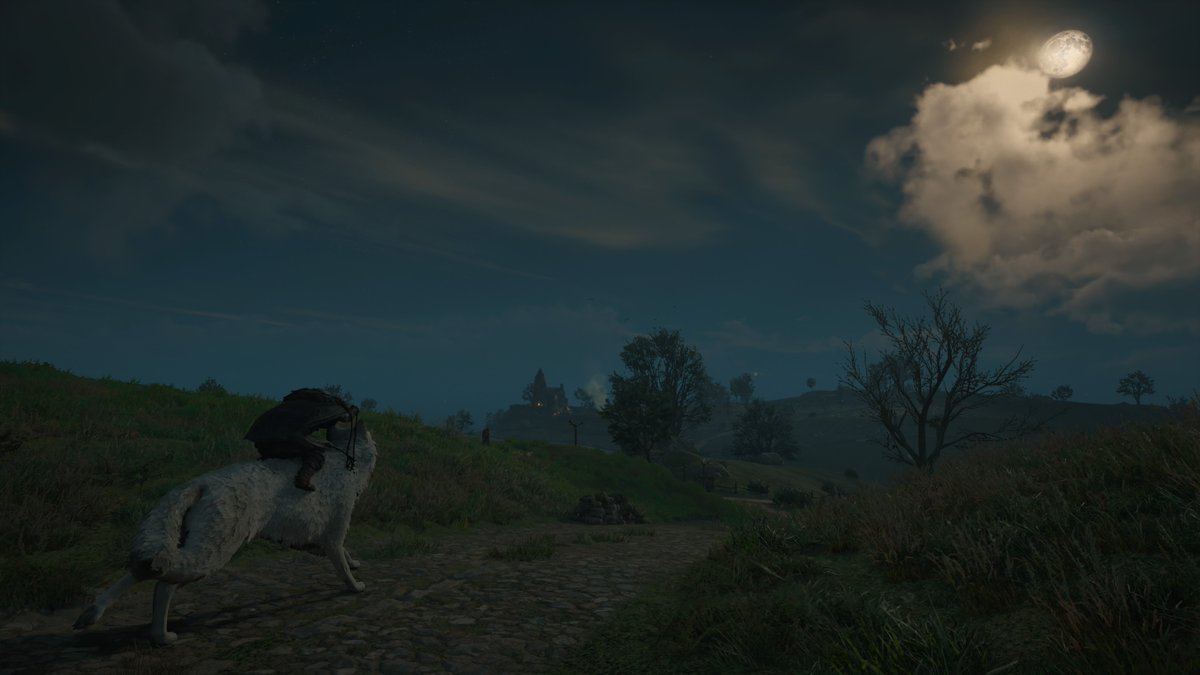 AxeslingerVP's tweet image. "He's not like the others. He never makes a sound. That's why I named him Ghost." - Jon Snow GOT

#AssassinsCreedValhalla #PS4share #PhotoMode #VGPUnite #TheCapturedCollective #VirtualPhotography