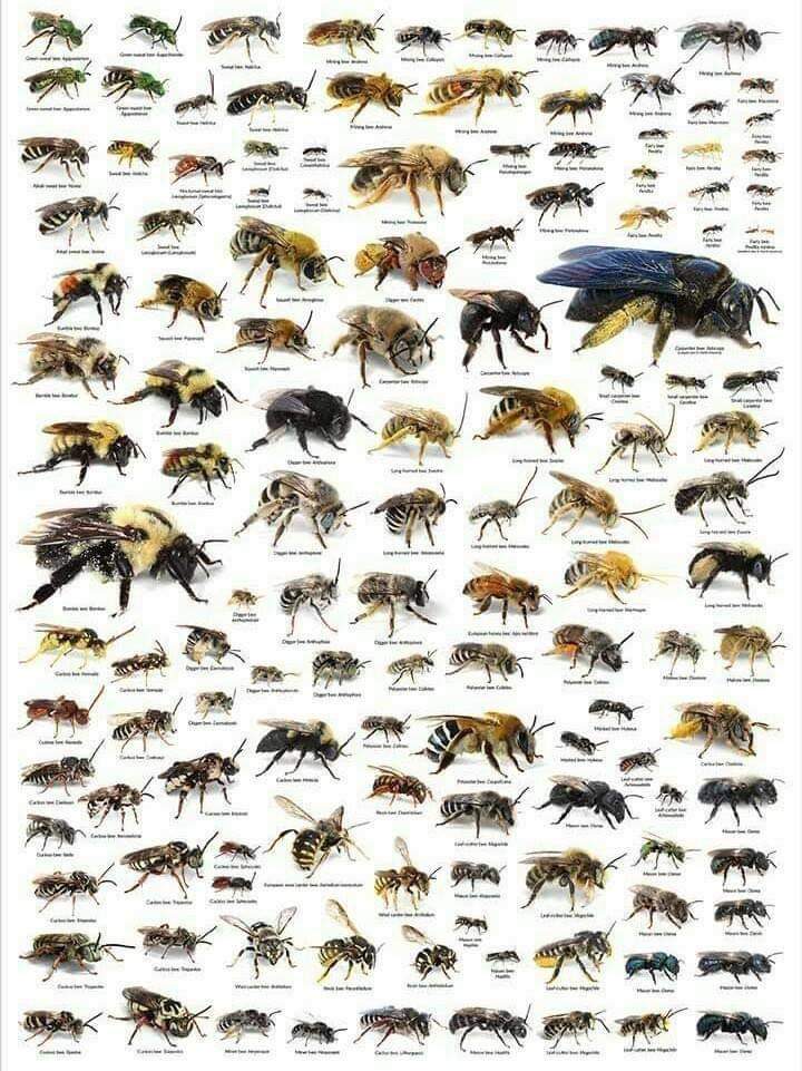 Paul SCHWEITZER (@spima57) on Twitter photo 