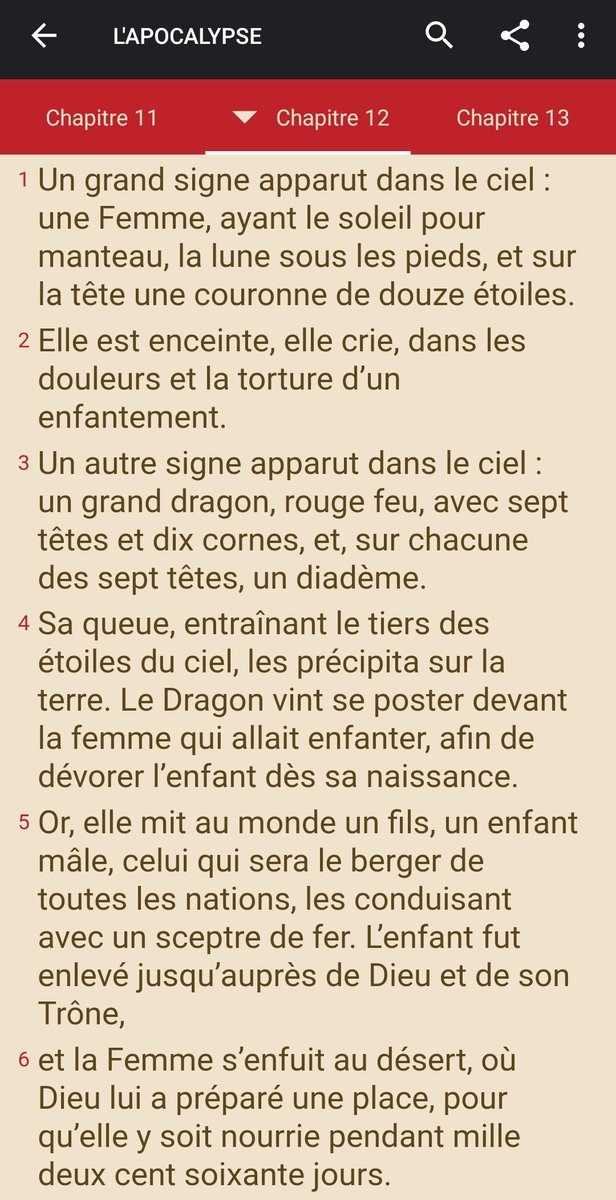 La reconnaissance de la Vierge Marie :Cette description s'applique à la femme idéale, Marie. La maternité douloureuse semble bien suggérer les souffrances de Marie au Calvaire (Jean 19 ; 25). #Vierge  #Marie  #messe  #liturgie