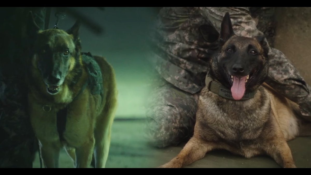 jehoonfilms's tweet photo. thank you search team for making this incredible, heartwarming, and remarkable story like this. it only has 10 episode so there's no dragging moment or unecessary part.
well wrapped ending tying all loose ends beautifully together <333 #SearchEp10 #SearchFinale https://t.co/z3W8kUcxKG