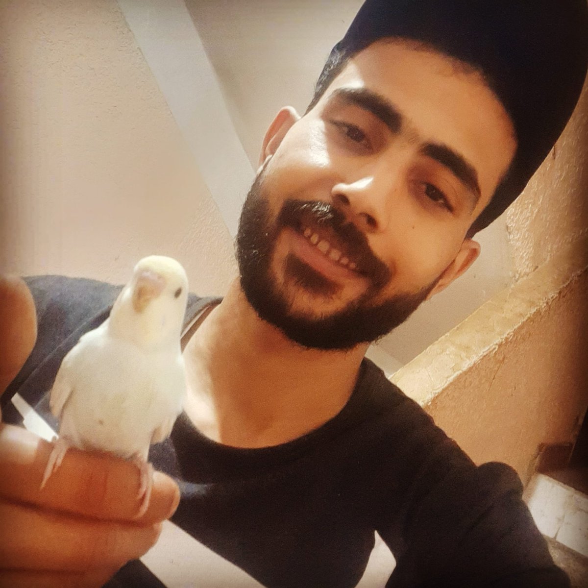 Midomarie33's tweet photo. جمالهم لا يوصف
عشقي ليهم لن ينتهي😍😍 https://t.co/pBareT9dcp