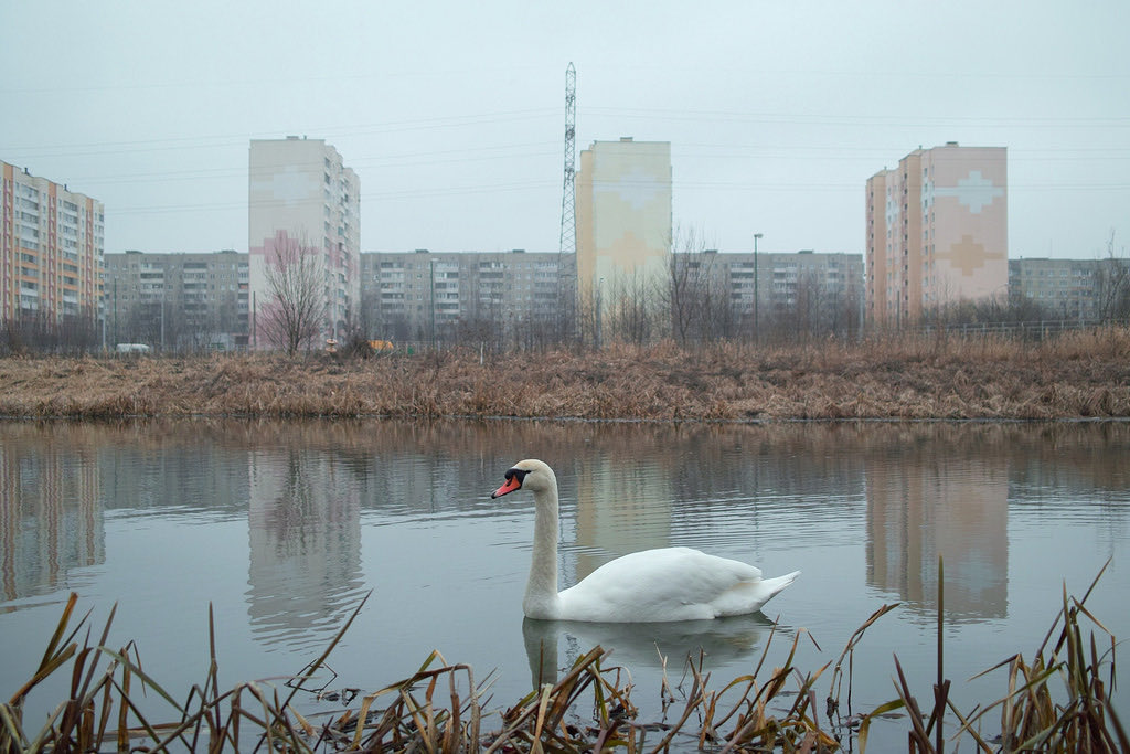 BryanEmbrey's tweet image. 