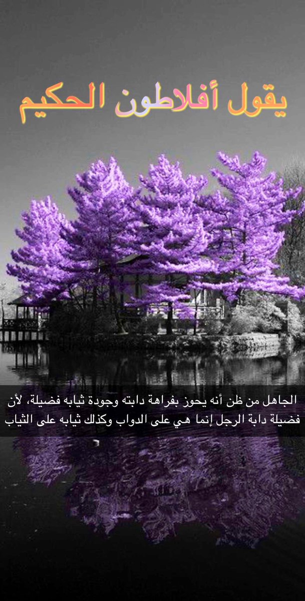 غاية الأرواح (@lwami3_alanwar) on Twitter photo 