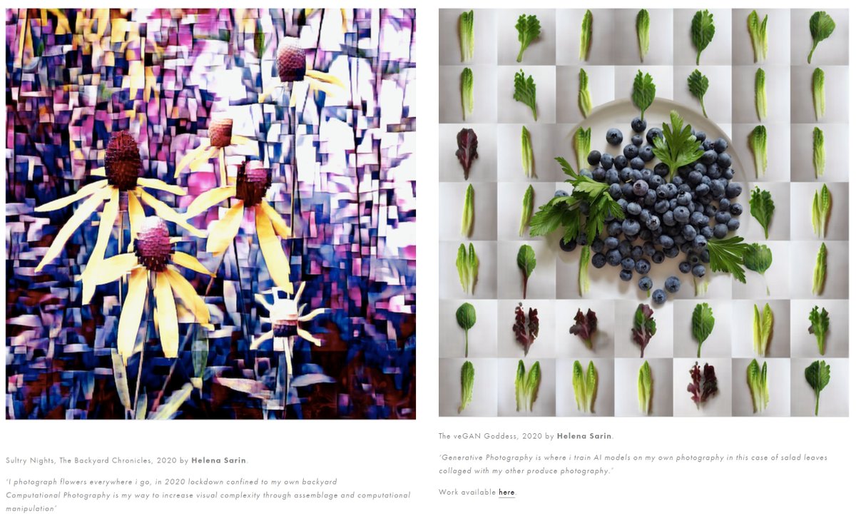 On the left: stylized picture of yellow flowers against a purple geometric background.  Text: Sultry Nights, The Backyard Chronicles, 2020 by Helena Sarin.

‘I photograph flowers everywhere i go, in 2020 lockdown confined to my own backyard
Computational Photography is my way to increase visual complexity through assemblage and computational manipulation’

On the right: grid of photos of vegetables, with larger picture of blueberries in the center.  Text: The veGAN Goddess, 2020 by Helena Sarin.

‘Generative Photography is where i train AI models on my own photography in this case of salad leaves collaged with my other produce photography.’