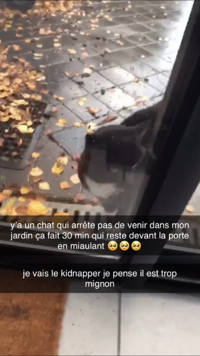 lilxss1's tweet photo. une histoire en 3 étapes https://t.co/7H26tjpoMP