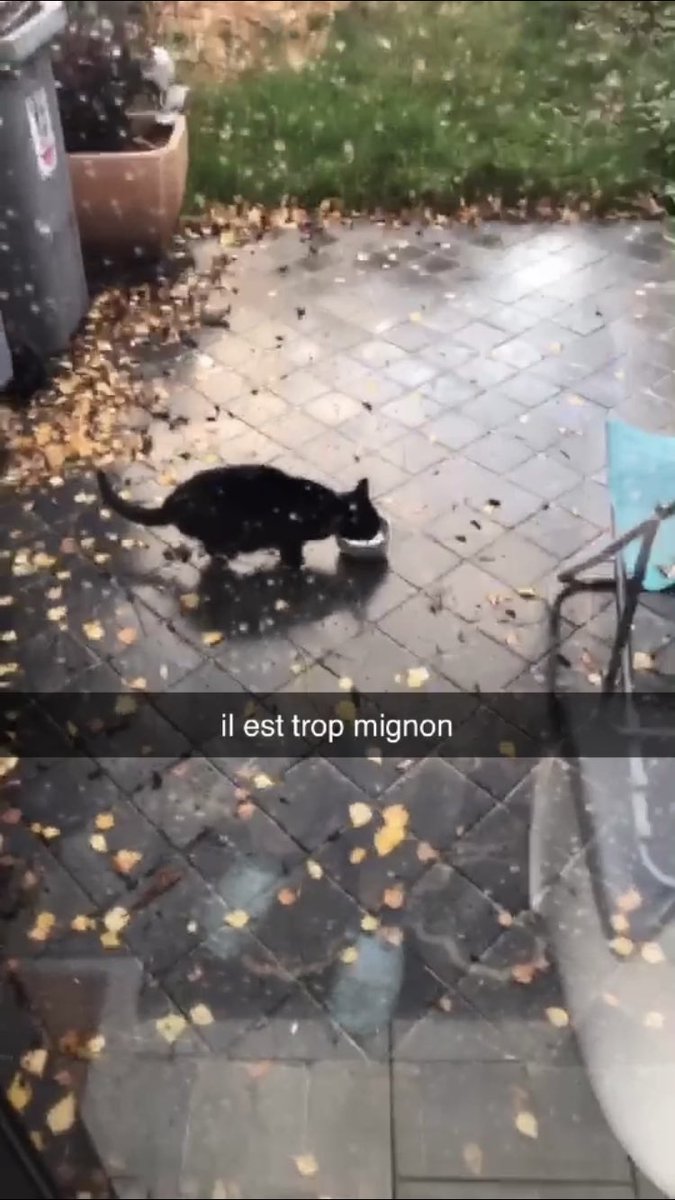 lilxss1's tweet photo. une histoire en 3 étapes https://t.co/7H26tjpoMP