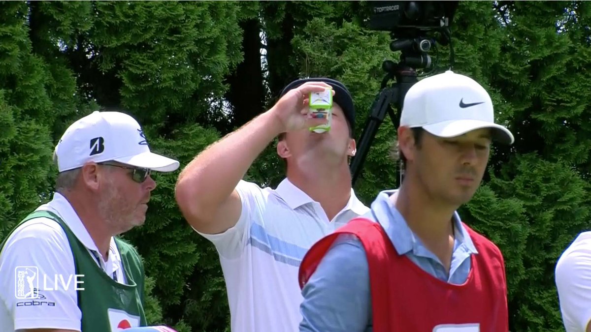 NoLayingUp's tweet photo. DID SOMEONE SAY ORGANIC MATTER https://t.co/pxRKtqwHTF