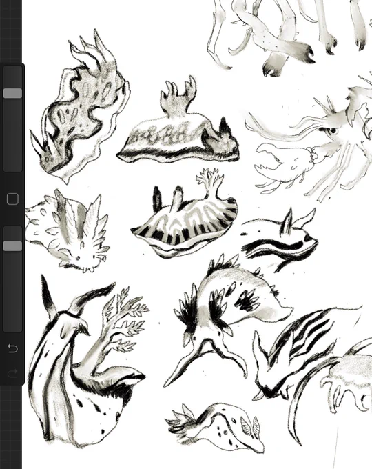 like every illustrator, having a sea slug moment 