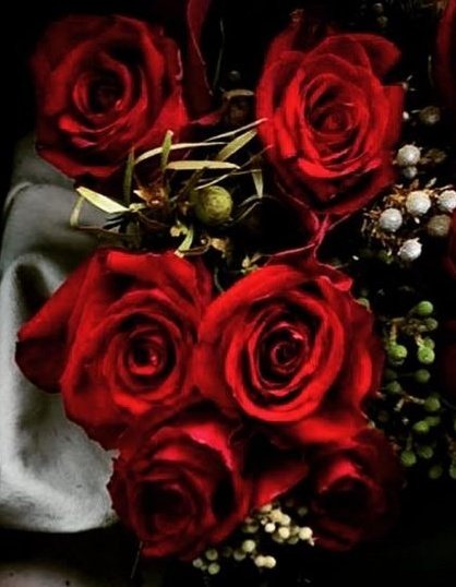 @helalzxzx 💭 

#هلال_القثامي  
.
.

ماني من اللي يلعب بقلوب الناس 
انا اللي لا عزيت مخلوق ابد ما خونه 

.
.

---------+--------      - -------+-------     +------------+----     --------+---------